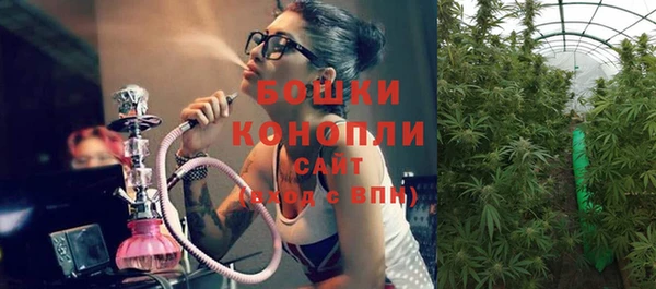 стафф Армянск
